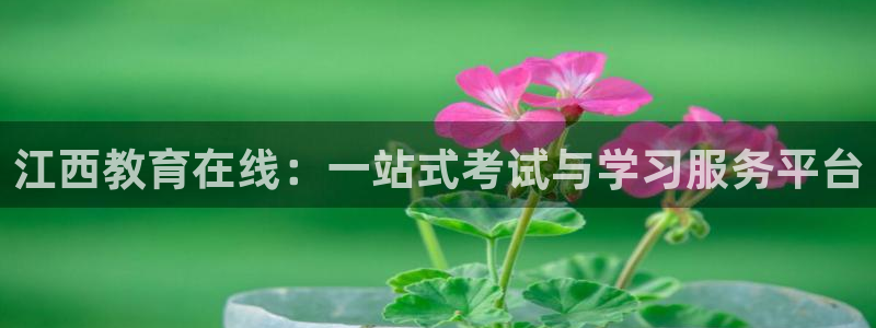 信安12乐打棒
