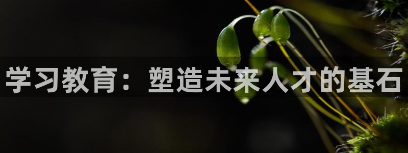 安信可12f