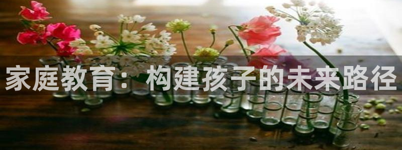 安信12是正轨网站吗