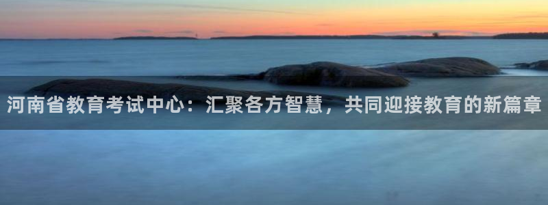 安信证券手机壳12