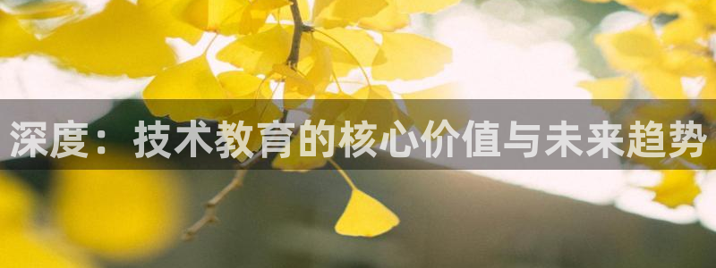 安信t12