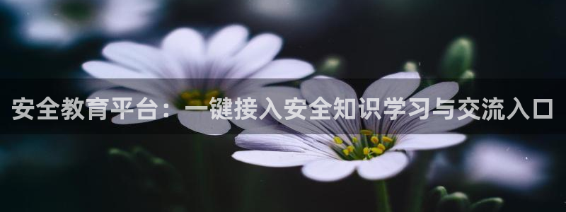 安信12是正规还是仿