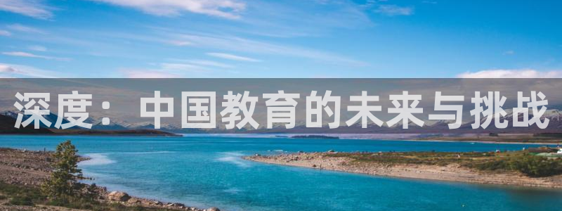 安信证券手机壳12