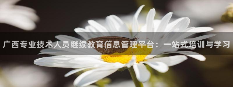 安信 12