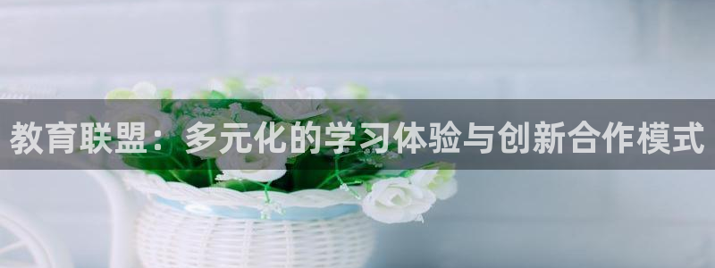 安信安盈12最新消息