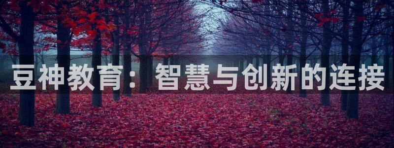 安信12主管