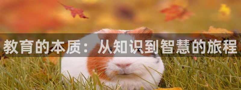 安信12娱乐主管