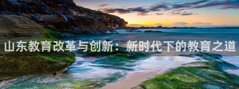安信12是正规还是仿