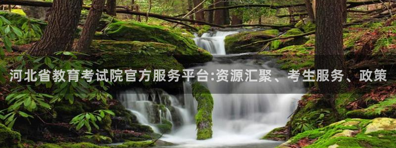 安信4娱乐去55 12