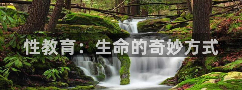 安信12主管