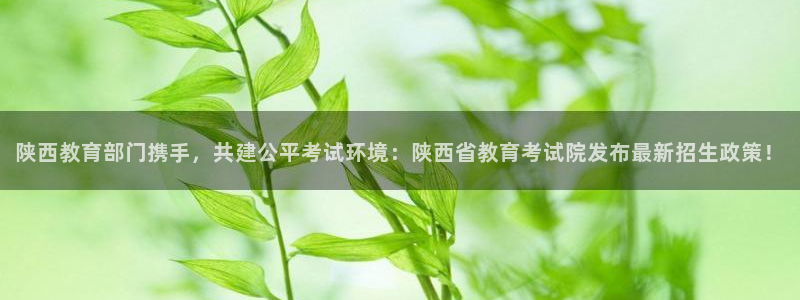 安信12是正轨网站吗