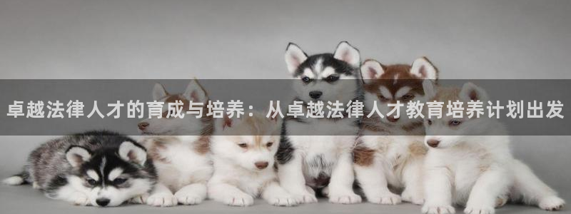 安信12级大众