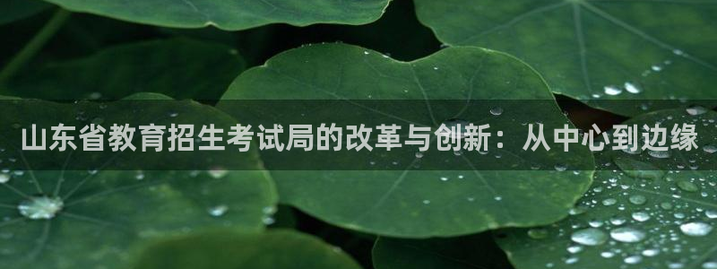安信证券 12位