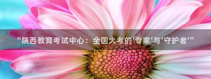 安信12周年