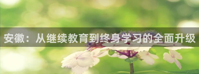 安信12彩票