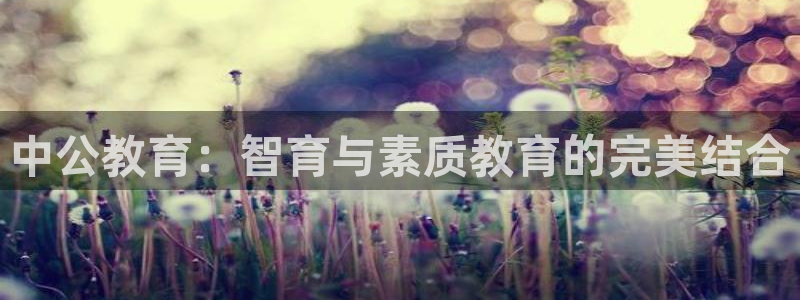 安立信12改装