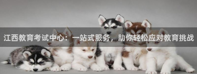 安信12软件介绍