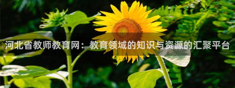 安信可12e12f