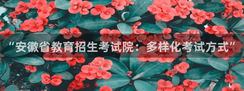 安信12专用挂机