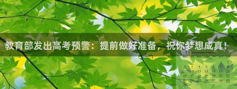 安信12主管