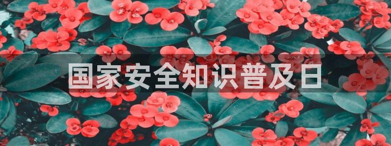 如何注销安信12软件