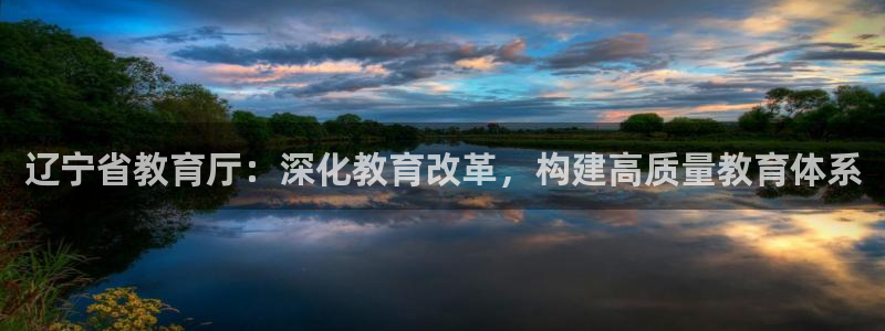安信12是正规还是仿