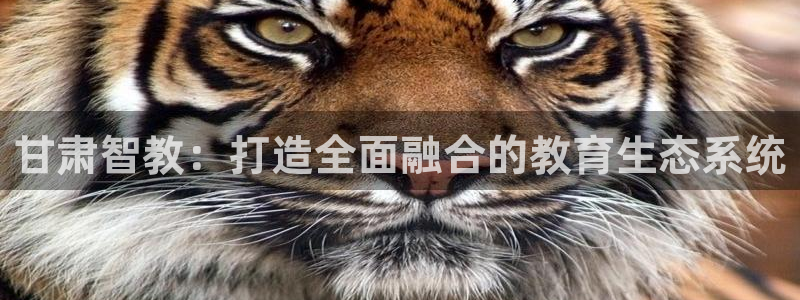 安信12官方下载