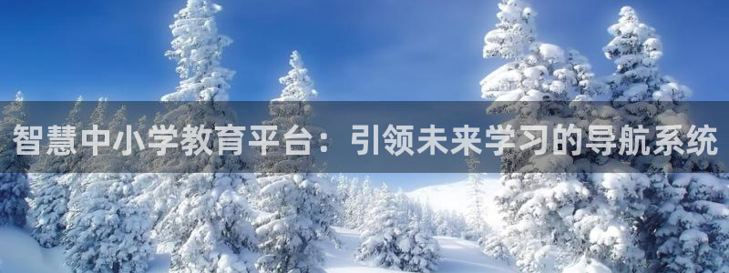 安信12赛车