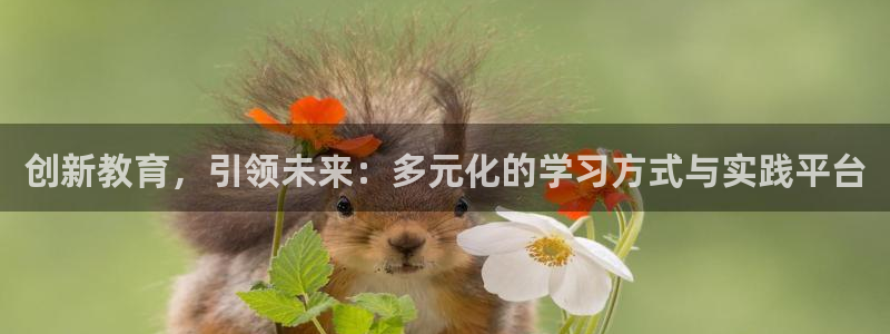 安信12平台