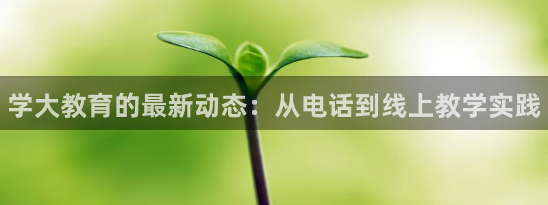 安信12彩票在线网址