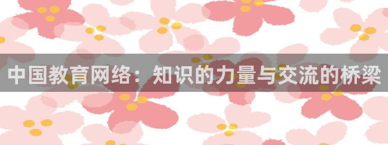 安信12赛车