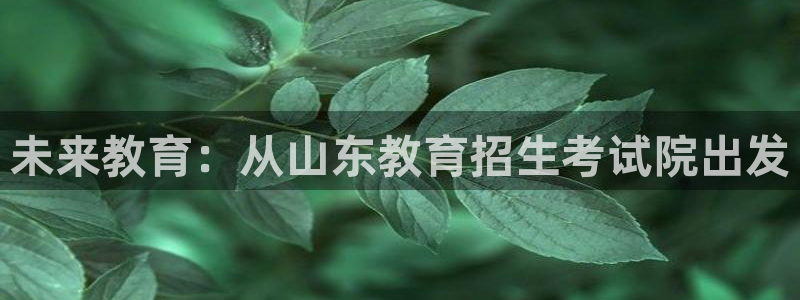 安信12官方下载