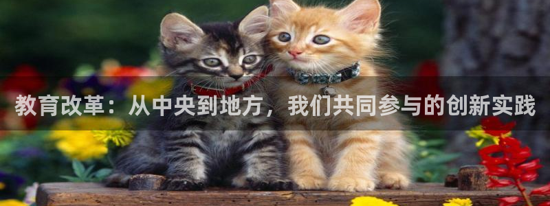 安信12娱乐招商
