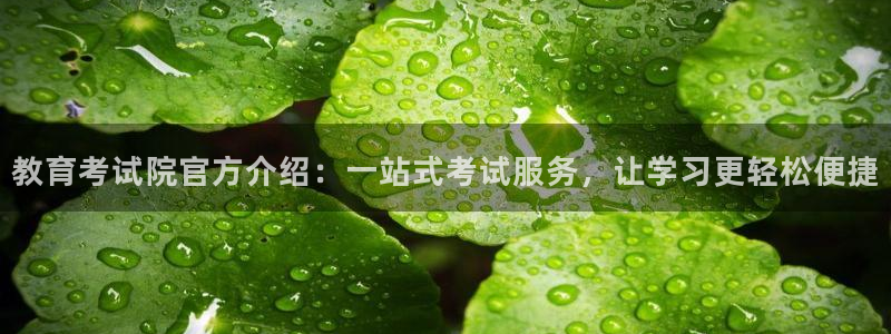 安信12app