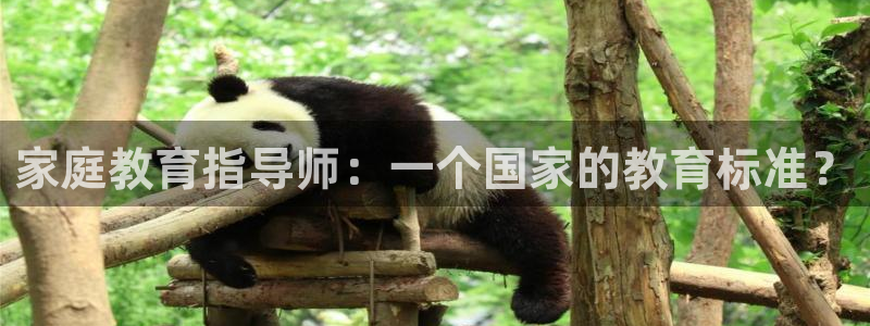 安信12娱乐主管