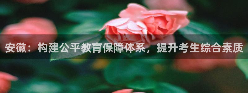 安信12是做什么