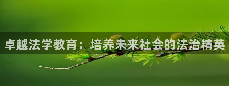安信12是做什么