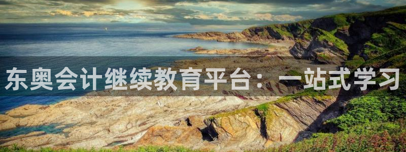 安信t12