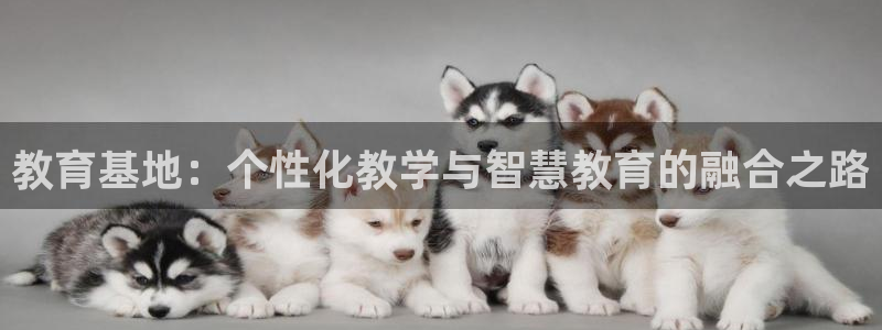 安信122853179Z空间