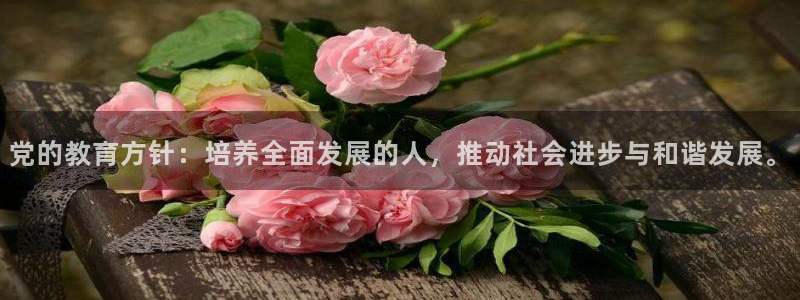安信12是什么平台
