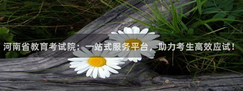 安信12娱乐招商