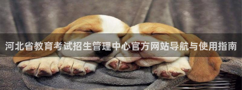 安信12想开户