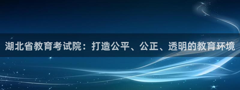安信证券手机壳12