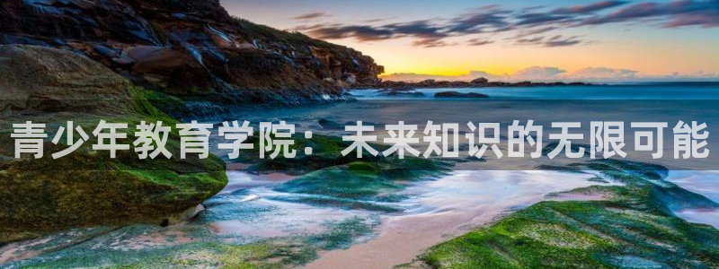 安信安翼 12账号