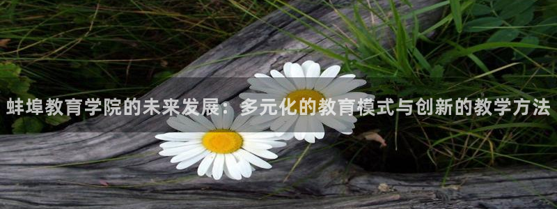 安信12赛车