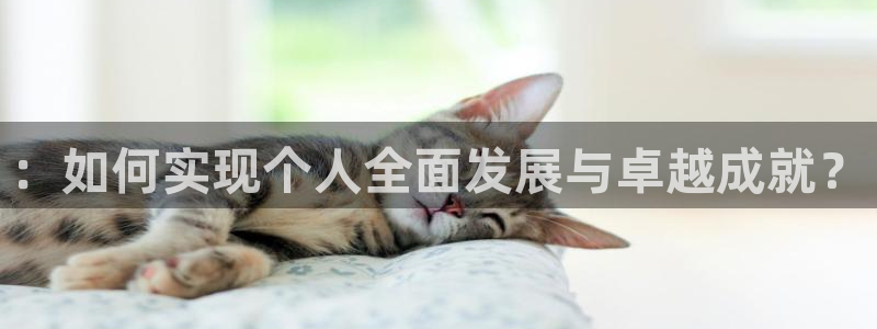 安信12是什么