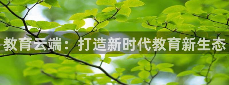 安信卓越12月