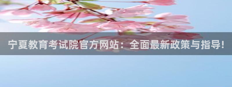 安信可wb12