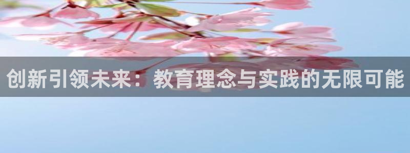 安信12想开户