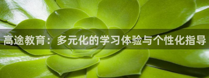 安信12平台下载
